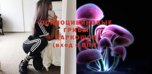 гашик Алзамай