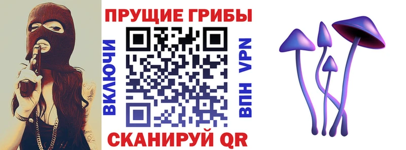 Галлюциногенные грибы GOLDEN TEACHER  Кимры 