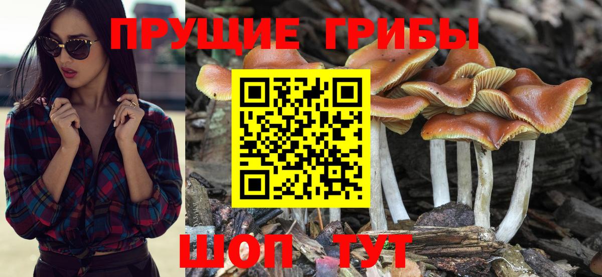 Галлюциногенные грибы мицелий Кимры