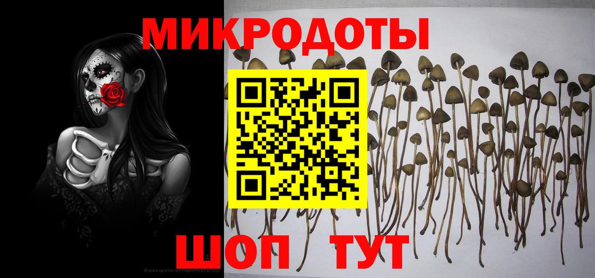 Галлюциногенные грибы Psilocybine cubensis  Вход с VPN  Кимры 